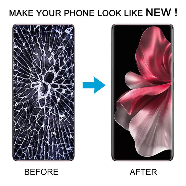 RPS0537_5.jpg@b47310b71dde759c3d64bda4f9bf474e