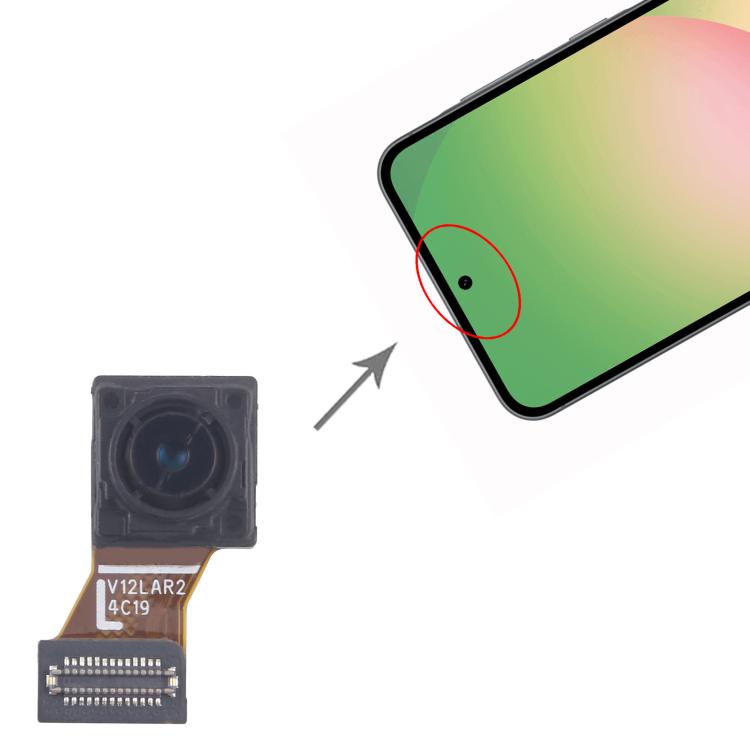 RPS0555_4.jpg@d24a2c0e54c77a656d1b8b7c52fce450