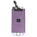 S-IP5S-0048_2.jpg@854b3b2056d483067f7cb9f678b84467