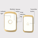 TBD0424525703_B3.jpg@a42135fe834dc8169d87f5584be6cbe4