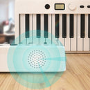 TBD0550606001_B5.jpg@47b6f0563bd43e40d1a1e6f44520bf24