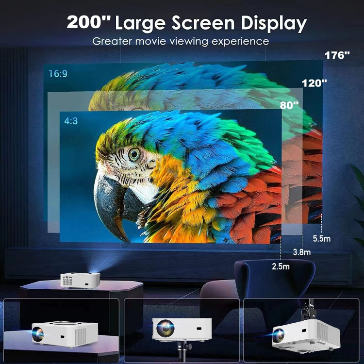 TBD06040837_B11.jpg@21573b4c20714cd0cbb3f6cf37d3ef5d