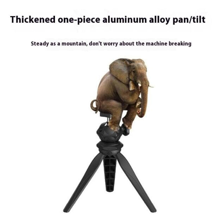 TBD06054334_B6.jpg@032395f5785018a38bcce8a9a439ab06