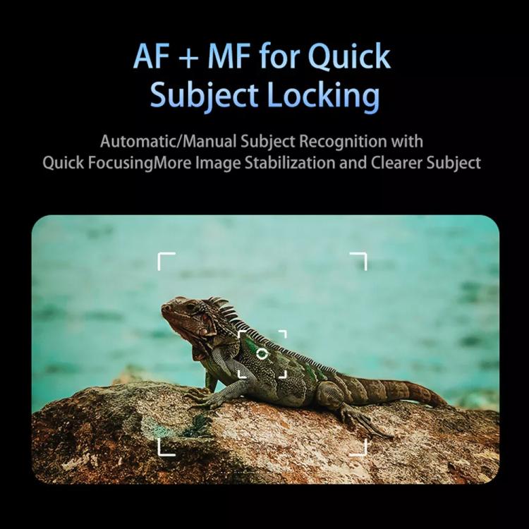 TBD06056167_3.jpg@58c813307879c21c9c1dbd33f9f0be5c