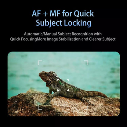 TBD06056167_3.jpg@58c813307879c21c9c1dbd33f9f0be5c