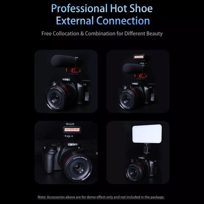 TBD06056167_4.jpg@01f6460ea16fa7297ad01868c61b87eb