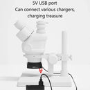 TBD06058276_B2.jpg@7e03e8c65b2dbf75b33c77fdb421a754