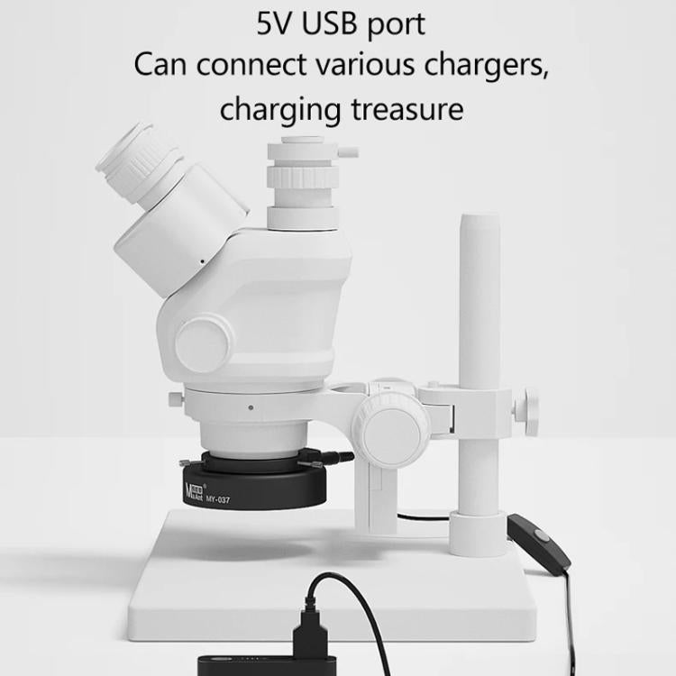 TBD06058279_B2.jpg@d93232ea8bab6f98cad7226a41684ca5