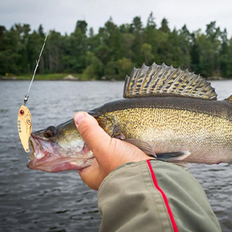 TBD06059647_B6.jpg@4de655793d17c657b94196e91a862777