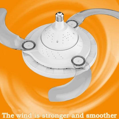 TBD06060502_B2.jpg@729512e4d6b41fc205cae1cf0de2d7b0