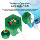 TBD06060959_B5.jpg@6225d72c05517c1e3219c3b1ee277d04