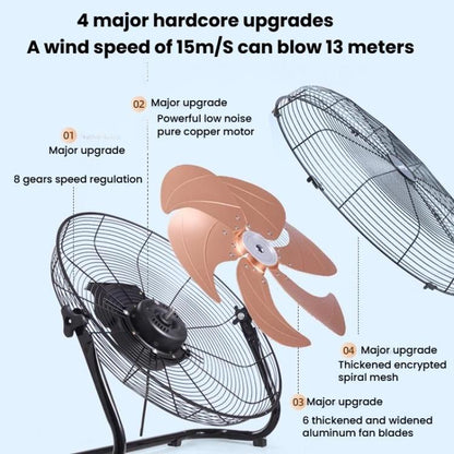 TBD06061106_B3.jpg@137a54bb2aa6a71bdeaba582c39a2c37