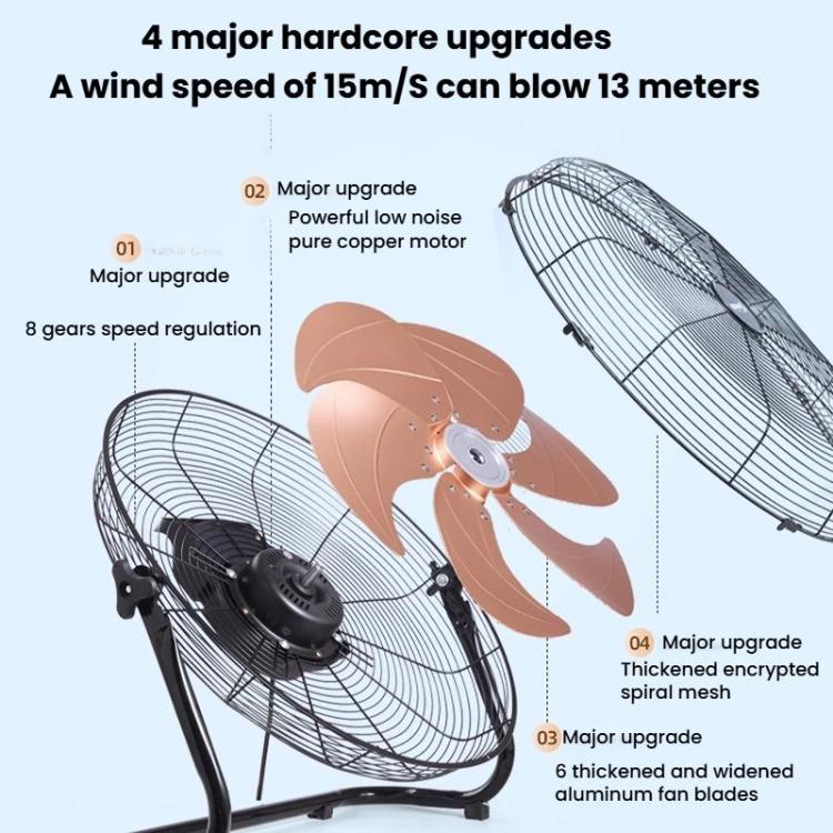 TBD06061106_B3.jpg@137a54bb2aa6a71bdeaba582c39a2c37