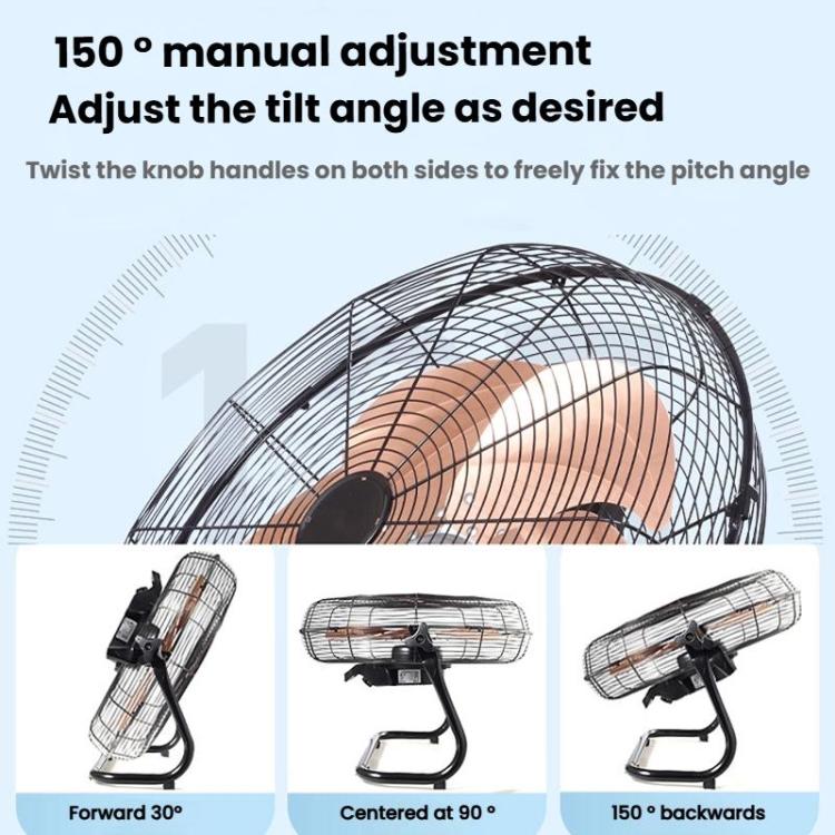 TBD06061106_B6.jpg@4d4ceaa5611d9fa97aa8819eec8b5c41