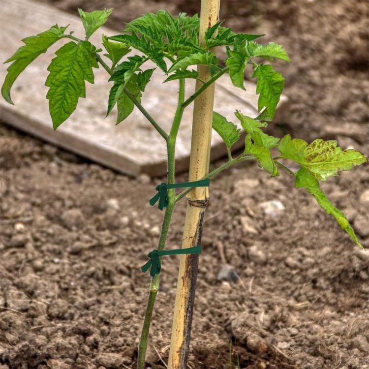 TBD06061194_B3.jpg@51cefe3ec2099d2fed634de8490bc5dc