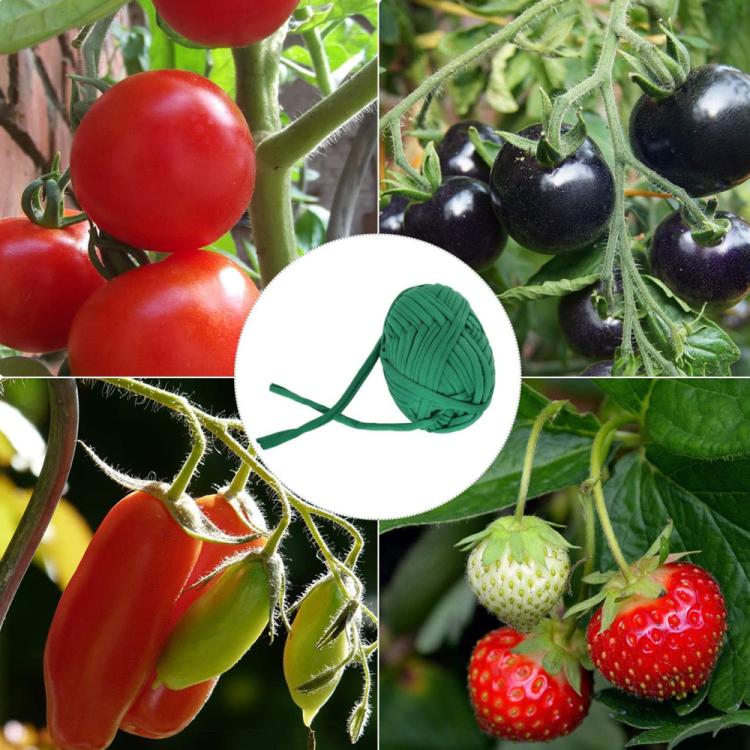 TBD06061194_B5.jpg@b27d935bd556d79f0d6ac145ece0b03b