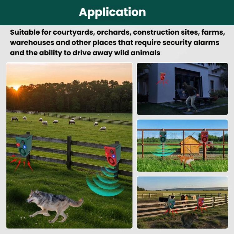 TBD06062277_B4.jpg@37877fc702c7d1b54364856a52f5329c