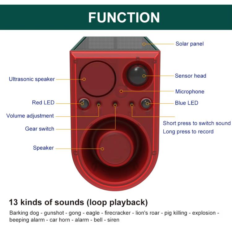 TBD06062277_B6.jpg@d304ecb964d47e0d6f8117c99d2f3439