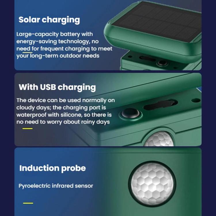 TBD06062347_B7.jpg@7daaa104817ba5cf9aa69732322d968d