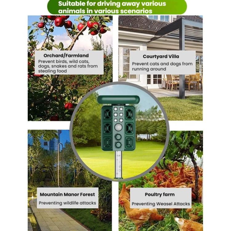 TBD06062385_B8.jpg@f9d7521bd62e36cdd1ce85583cc9d3ab