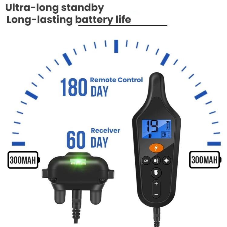 TBD06062715_B5.jpg@2946a8e5999656d1e1dce3f3a289007e