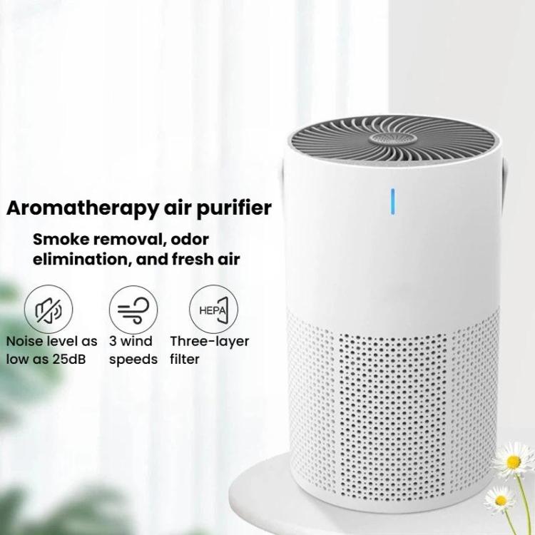 TBD06064694_B1.jpg@ee74ce1ef62bcd2326d9629e01eef341