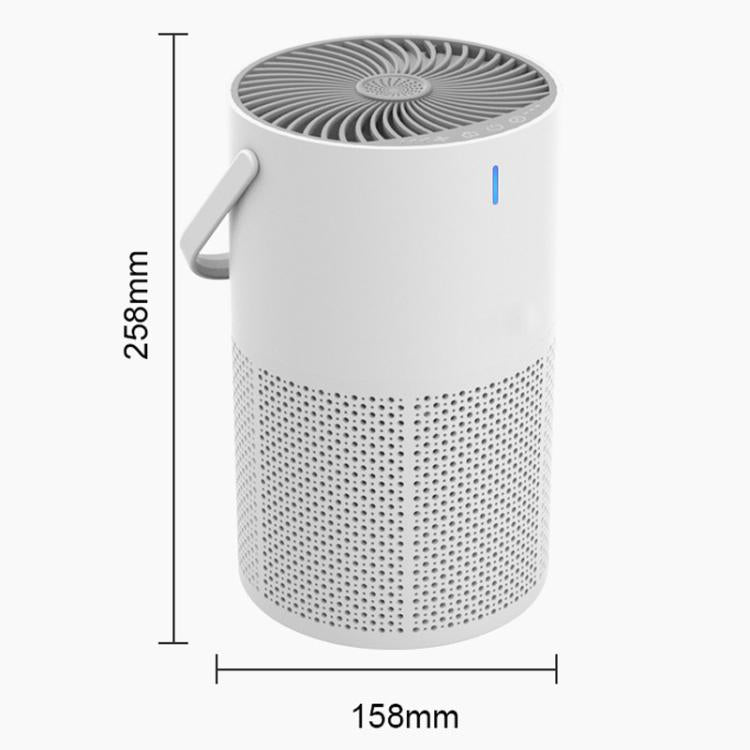 TBD06064694_B9.jpg@e11ccab2cc4f2ede936173f11a2fb48c