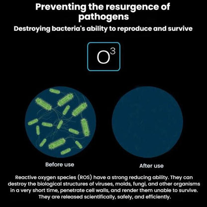 TBD06064722_B6.jpg@c8cb32db43e23d4c457a17d96137d647