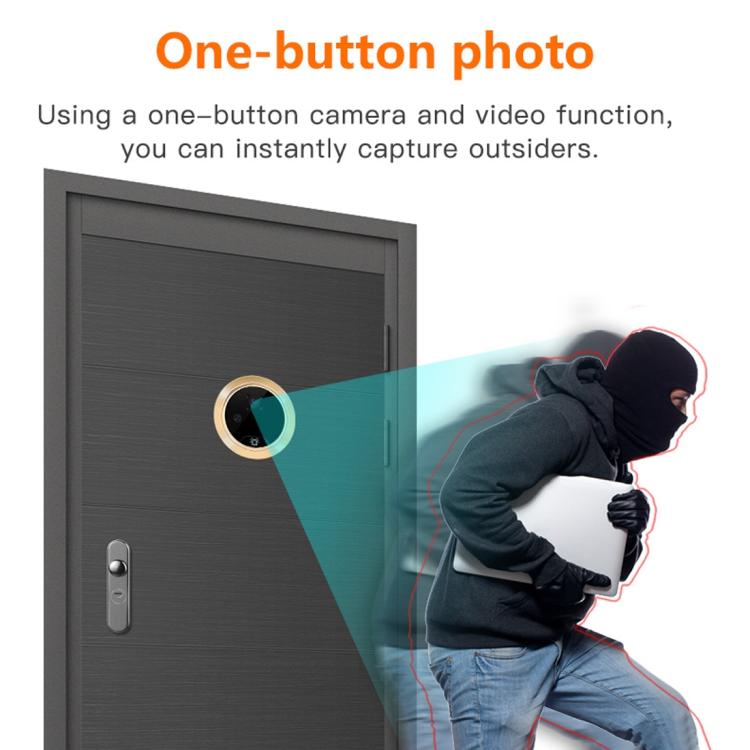 WD0039_B4.jpg@c3af96c98f2a2f5c811a18232c2e43a1